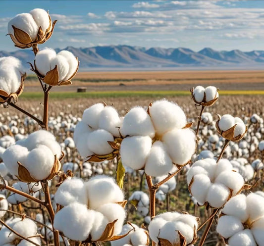 How does cotton turn into jewelry bags?